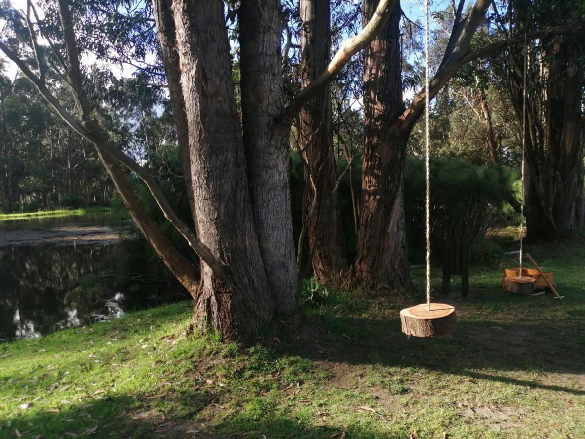 Palumbo Glamping & Villas Cayambe Zewnętrze zdjęcie